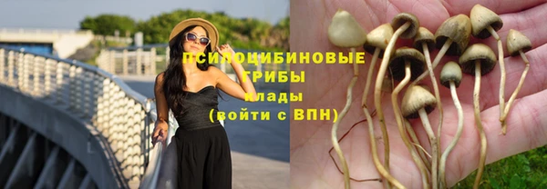 спиды Новодвинск