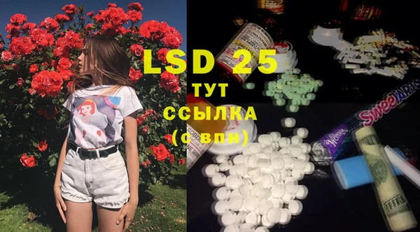 спиды Новодвинск