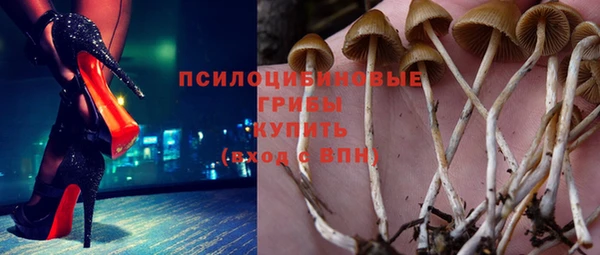 соль курить ск Новозыбков