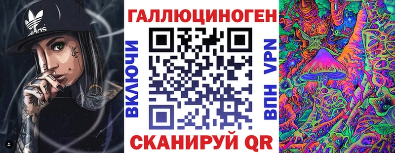 купить Палласовка Галлюциногенные грибы Psilocybe